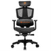 Gaming Chair Cougar Argo One Orange - Компютър Игри<<<Компютри| Електроника<<<BigBuy&&&Аксесоари за Игри<<<Компютър