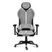 Gaming Chair Huzaro Force 7.9 Grey - Аксесоари за Игри<<<Компютър Игри<<<Компютри| Електроника<<<BigBuy&&&Gaming