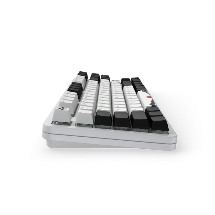 Gaming Mechanical Keyboard Dark Project 87 Fuji V2 RGB TKL - G3MS Sapphire Switches ABS - Геймърски