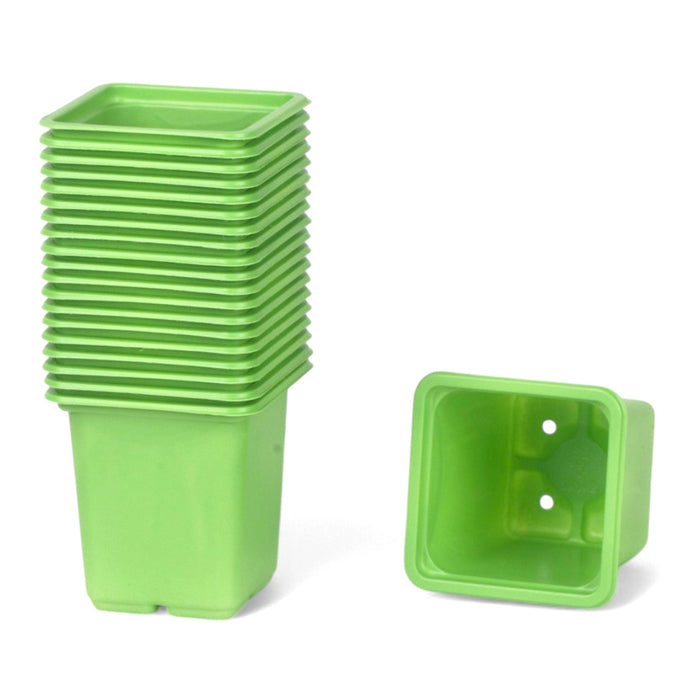 SET OF SEEDLINGS 20PCS GARDEN STAR HD-10864