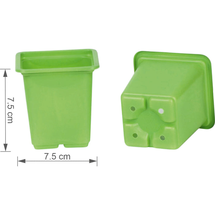 SET OF SEEDLINGS 20PCS GARDEN STAR HD-10864