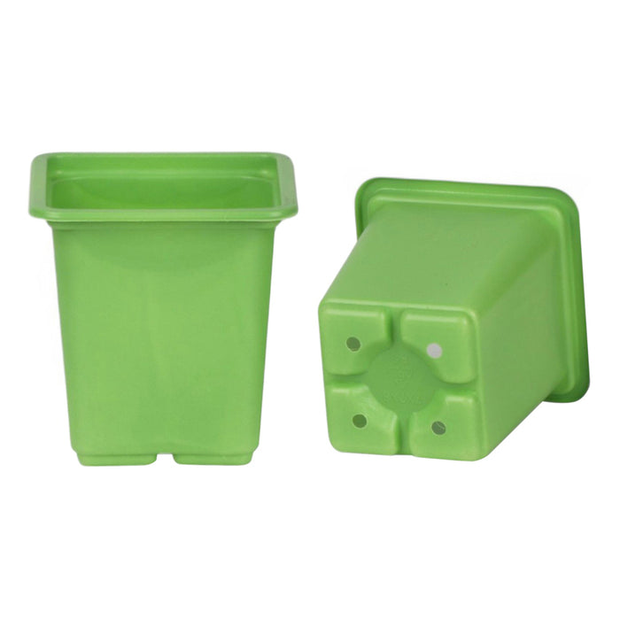 SET OF SEEDLINGS 20PCS GARDEN STAR HD-10864