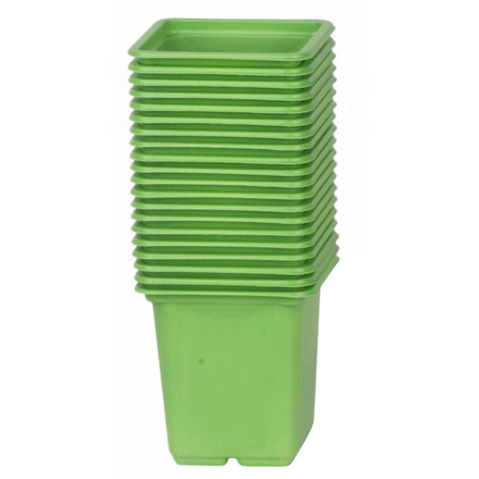 SET OF SEEDLINGS 20PCS GARDEN STAR HD-10864