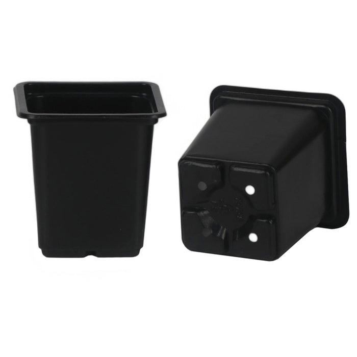 SET OF SEEDLINGS 20PCS GARDEN STAR HD-10864