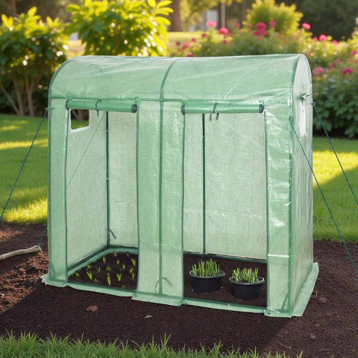 GREENHOUSE 200X100X180CM 2 DOORS GARDEN STAR HD-11434