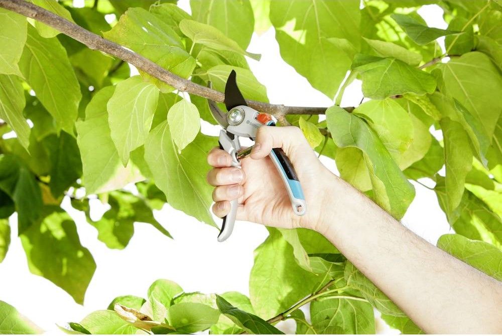 GARDEN SHEARS GARDENA COMFORT F25