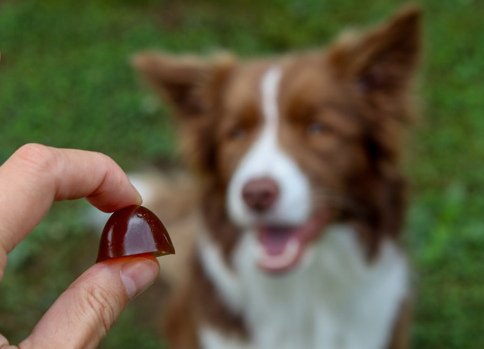 GELOREN Small dog Joints - dog vitamins - 180g