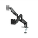 Gembird MA-DA2-06 Desk mounted adjustable double monitor arm 17’’-32’’ black - Monitors - Monitor