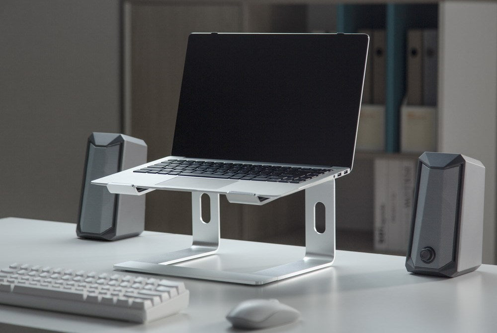 Gembird NBS-D1-01 laptop stand Aluminium, Silver 39.6 cm (15.6")