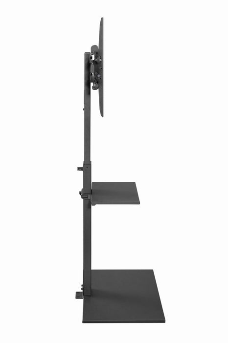 Gembird TVS-55T-02 TV floor stand, 32" - 55", black