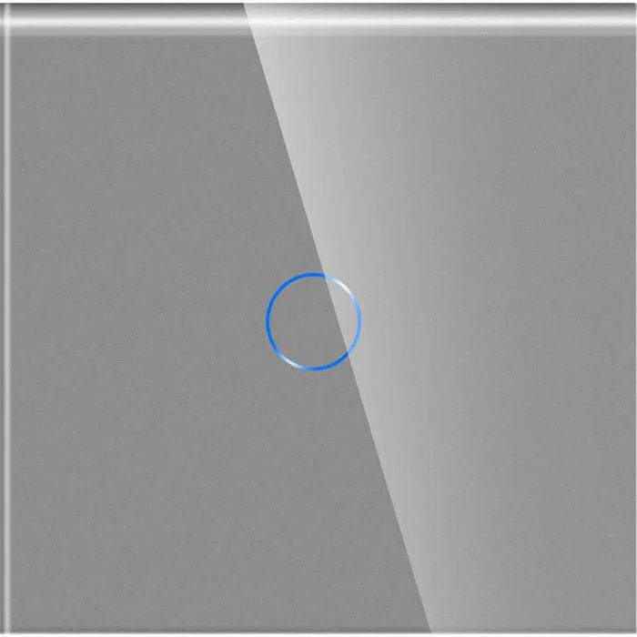 GLASS PANEL FOR SINGLE AND DIVIATOR SWITCH GREY LUXON - Ключове и контакти<<<Електроматериали<<<Praktiker&&&Ключове и