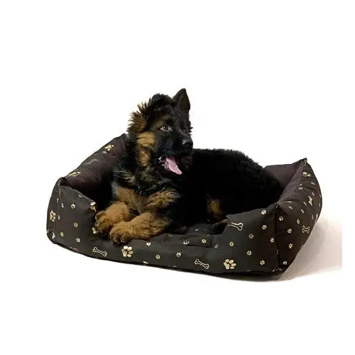 GO GIFT Dog bed XL - brown - 75x55x15 cm - To sleep (universal)DLZ-DSU<<<For petsDLZ<<<ActionPL
