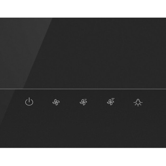 Gorenje WHI649EXBG hood