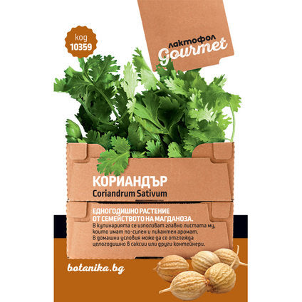 GOURMET CORIANDER SEEDS