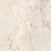 GRANITOGRES IZIDA ACROPOLIS BONE 60.6X60.6 CM - Гранитогрес<<<Плочки и лайстни<<<Подови и стенни