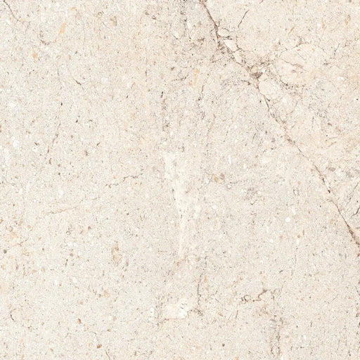 GRANITOGRES IZIDA ACROPOLIS BONE 60.6X60.6 CM - Гранитогрес<<<Плочки и лайстни<<<Подови и стенни