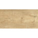 GRANITOGRES IZIDA DAMIANI BEIGE 30X60 CM - Гранитогрес<<<Плочки и лайстни<<<Подови и стенни