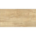 GRANITOGRES IZIDA DAMIANI BEIGE 30X60 CM - Гранитогрес<<<Плочки и лайстни<<<Подови и стенни