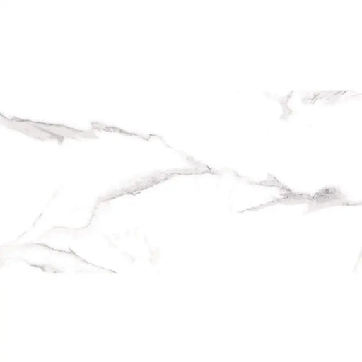 GRANITOGRES PRISSMACER STATUARIO 60X120 CM - Гранитогрес<<<Плочки и лайстни<<<Подови и стенни