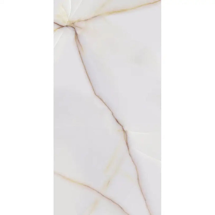 GRANITOGRES STAR GRES ICON POLISHED 60X120 CM - Гранитогрес<<<Плочки и лайстни<<<Подови и стенни