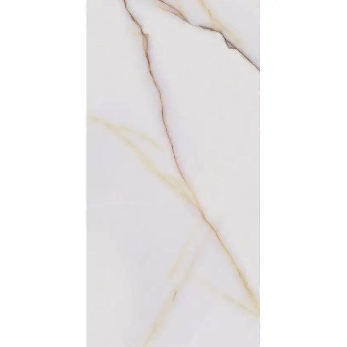 GRANITOGRES STAR GRES ICON POLISHED 60X120 CM - Гранитогрес<<<Плочки и лайстни<<<Подови и стенни