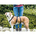 Guide harness for dog Trixie Stay Black S/M - Домашни Животни<<<Дом Градина<<<BigBuy&&&Пътуване и разходки<<<Домашни