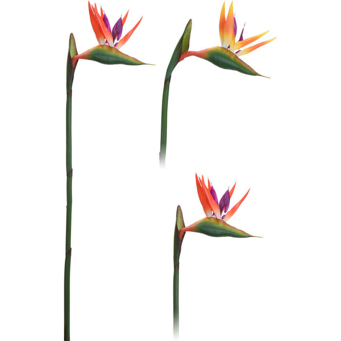 ARTIFICIAL FLOWER STREETSIA 80CM H & S COLLECTION 318800120