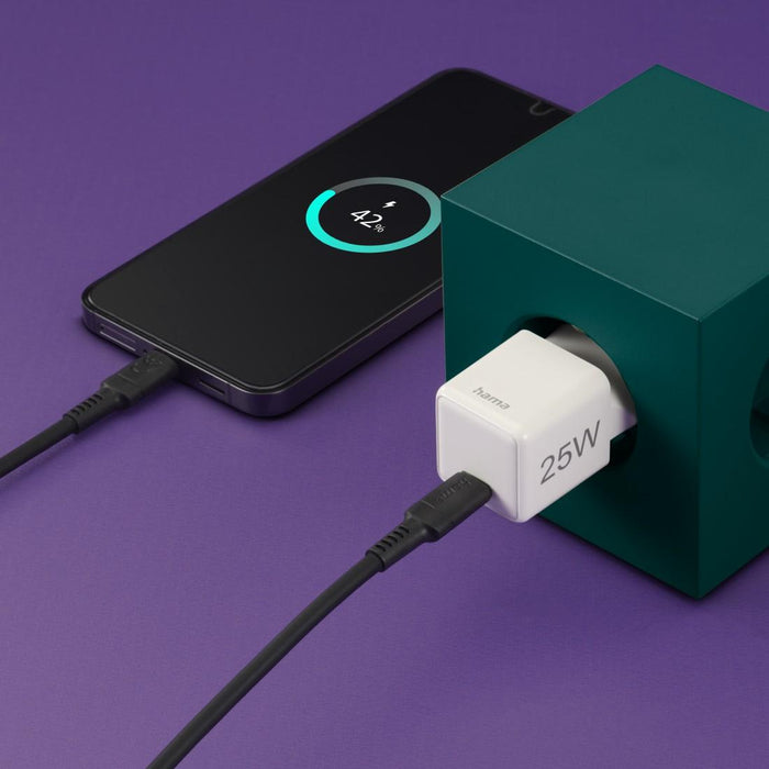 Fast super mini charger, 25W, 201981