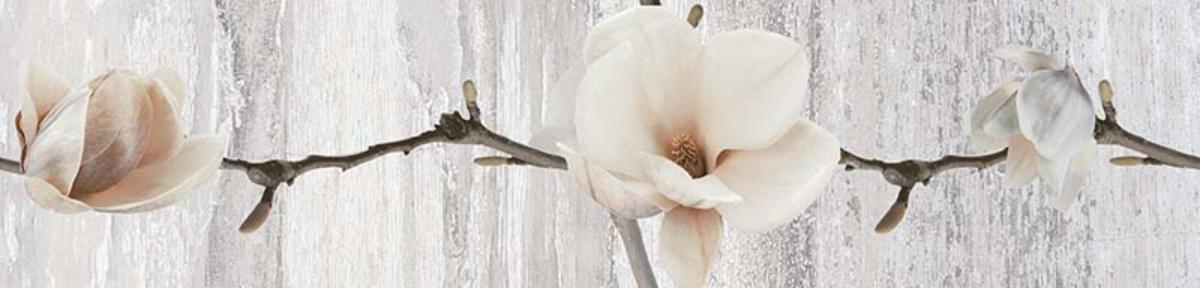 FRIEZ 6X25 PASTEL MAGNOLIA GRAY