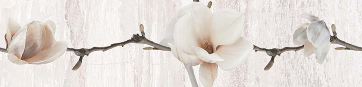 FRIEZ 6X25 PASTEL MAGNOLIA LIGHT GRAY