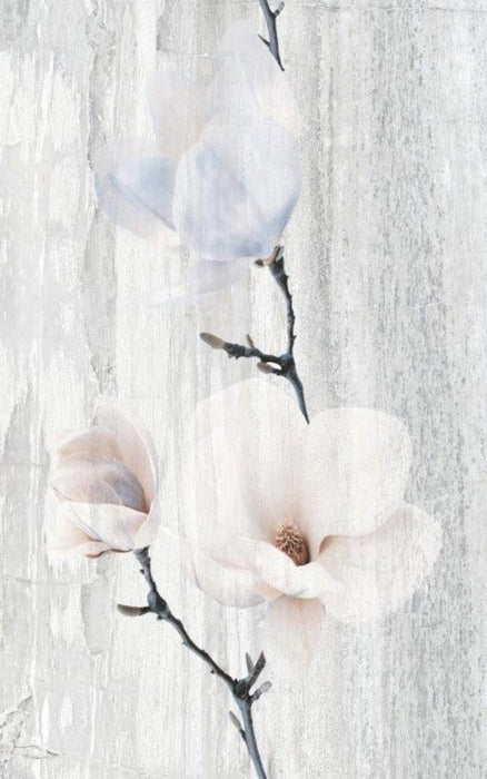 DECOR 25x40 PASTEL MAGNOLIA ST. GRAY