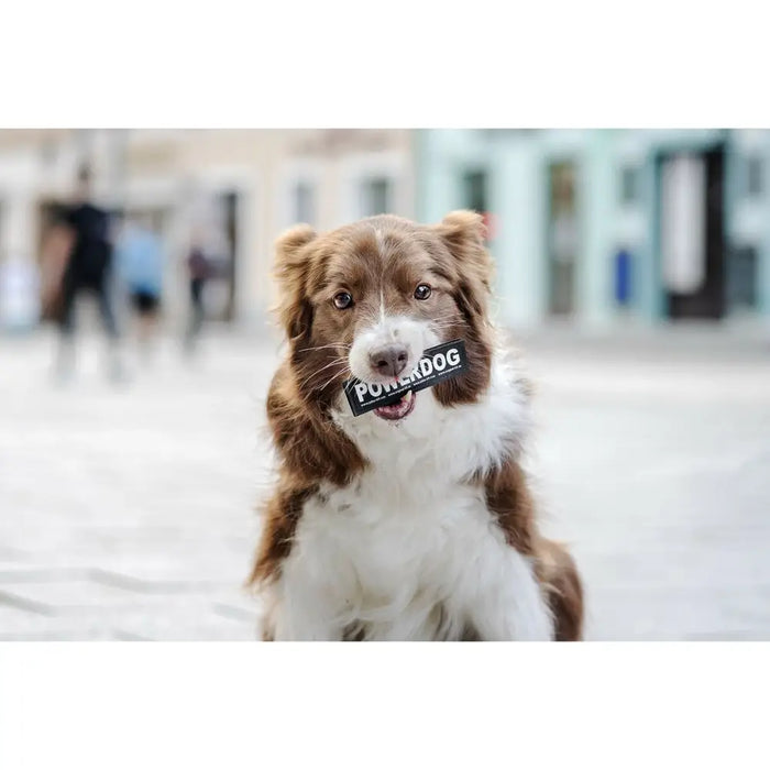 Harness tags Julius K9 DON’T TOUCH S White Black (2 Units) - Домашни Животни<<<Дом Градина<<<BigBuy&&&Пътуване и