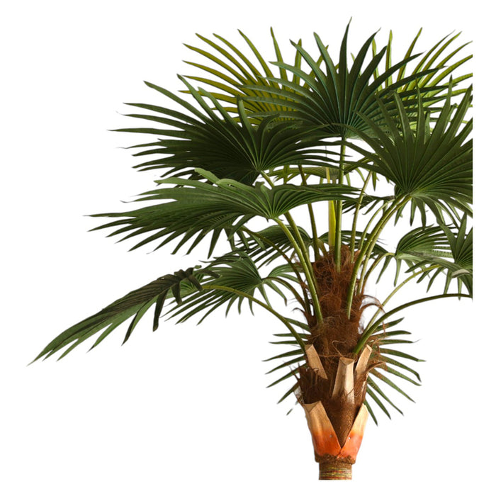 ARTIFICIAL PLANT LIVISTONE PALM 300CM HD HD-10970