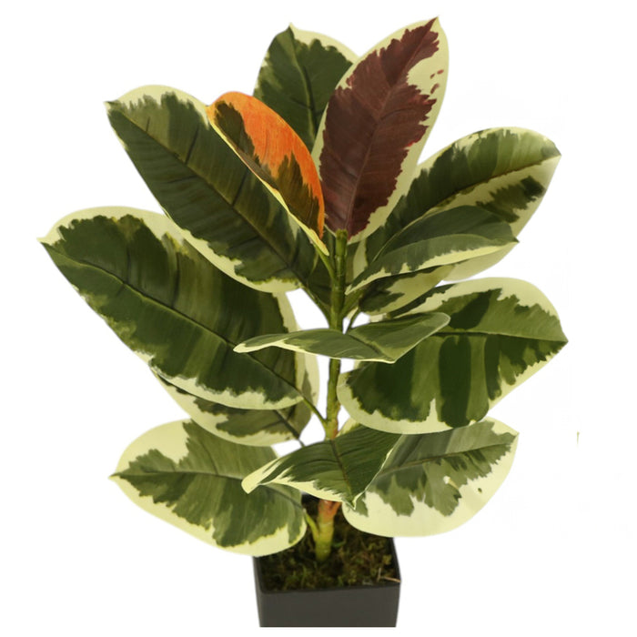 ARTIFICIAL PLANT AGLAONEMA 60CM HD HD-10976
