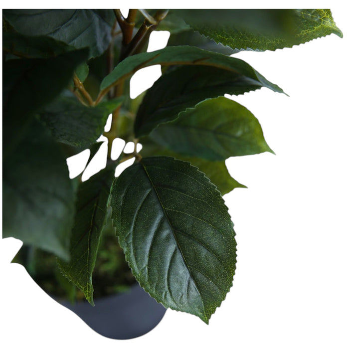 ARTIFICIAL FICUS PLANT 65CM HD HD-10982
