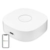 Smart home WS2GW-R WiFi