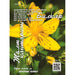 HERBAL ST. JOHN’S WORSHIP SEEDS - Семена<<<Семена луковици и разсад<<<Градина<<<Praktiker