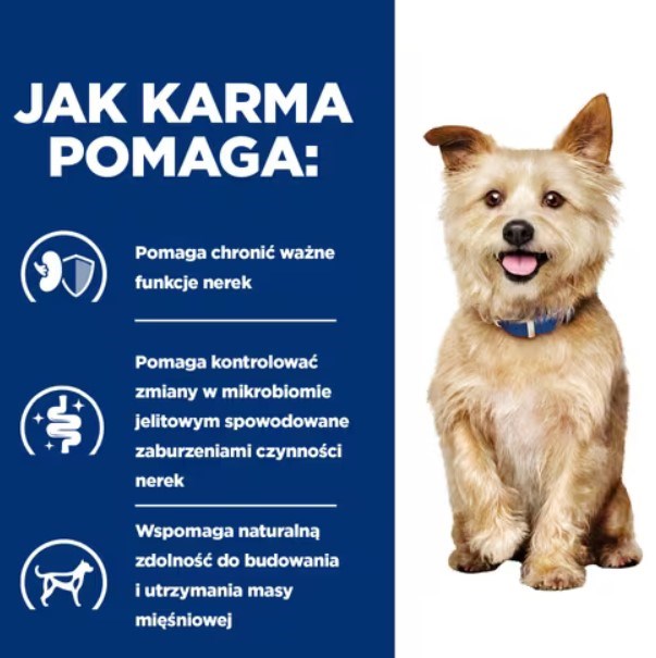 Hill's PD K/D Kidney Care Original - dry dog food - 4kg