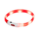 HILTON LED silicone 1.4x0.8x40 cm with USB - dog collar - A walkDLP-SOS<<<For the dogDLP<<<ActionPL