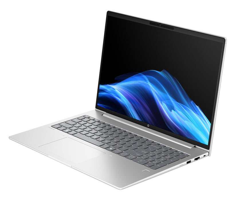HP ProBook 4 G1ah Ryzen 5 220 16.0"WUXGA IPS 300nits AG 24GB DDR5 5600 SSD512 Radeon 740M Cam1080p 56Wh W11Pro Pike silver 3Y OnSite