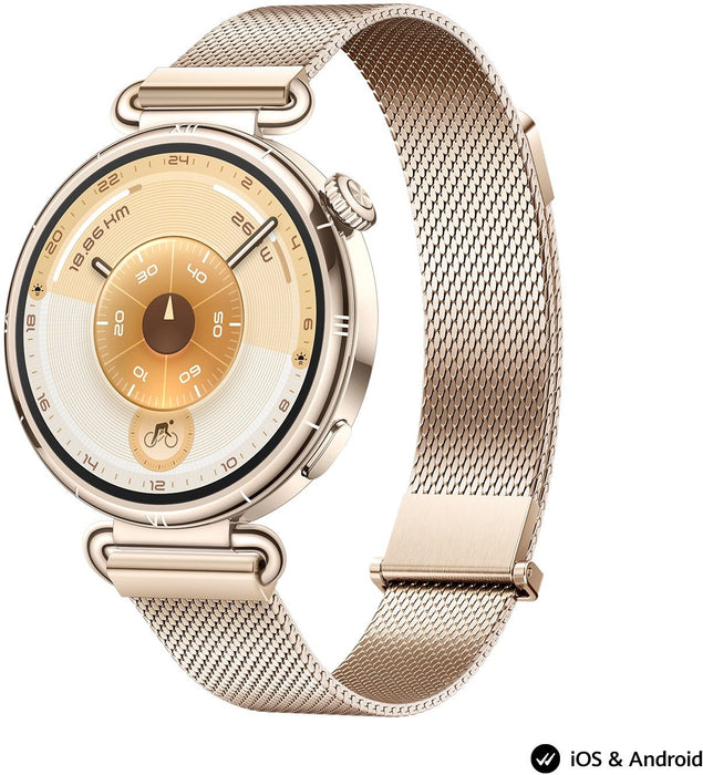 Smart watch Huawei Watch GT6, Konsu-B19M Millanese
