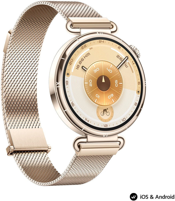 Smart watch Huawei Watch GT6, Konsu-B19M Millanese