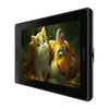 Huion Kamvas Pro 13 GT133 graphics tablet