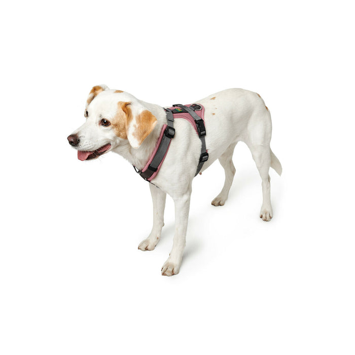 Dog Harness Hunter Pink 31-49 cm