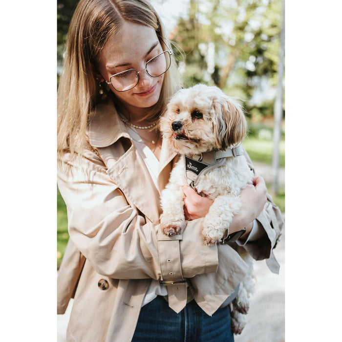 Dog Harness Hunter DIVO UP Beige S