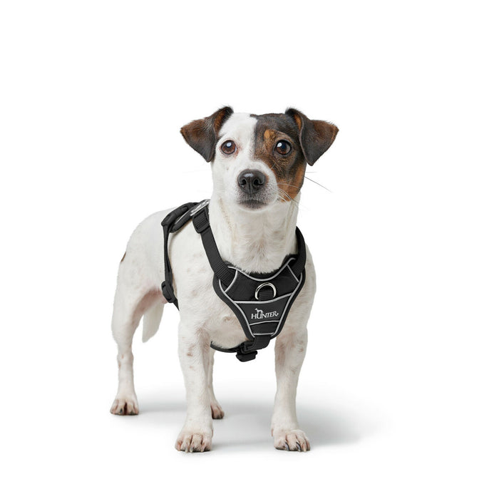 Dog Harness Hunter DIVO UP Black S