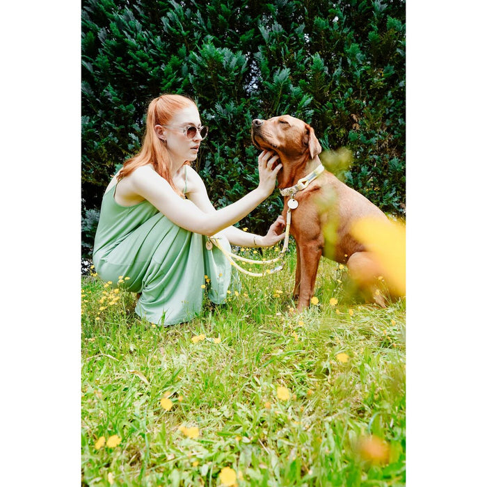 Dog collar Hunter Malia Lime 12 40-49 cm