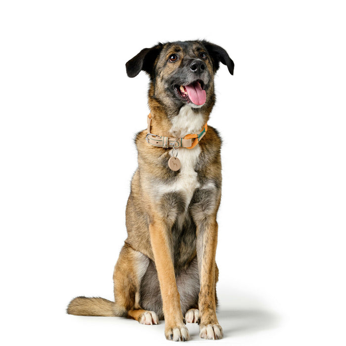 Dog collar Hunter Malia Orange 12 40-49 cm