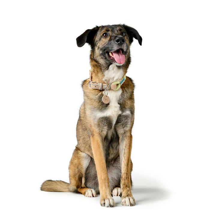 Dog collar Hunter MALIA Green M/L 45-54 cm