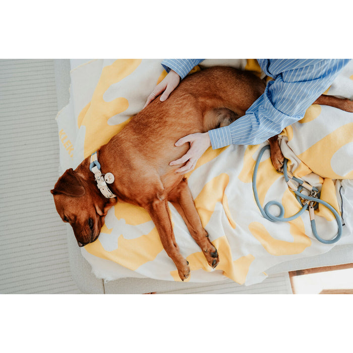 Dog collar Hunter MALIA M Blue 12 40-49 cm